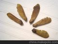 大量批发红枫种子/红枫种子供应