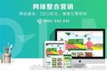 天津网站推广公司-诺亚科技