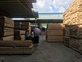 建筑木方厂， 木方质量好 ，金生水售后服务让您更省心