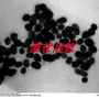 廠家直銷免疫電鏡鎳網(wǎng)200目鎳網(wǎng)碳支持膜鎳網(wǎng)碳膜普通碳膜