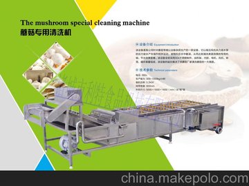 ʳƷb(zhun)ΙCa(chn)S(chng)