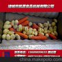 供应厂家直销 专业提供凯源牌 藕片土豆 胡萝卜清洗去皮机 概率高