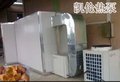 凯棱陈皮烘干机品牌
