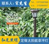 江苏弘光照明生产  太阳能不锈钢草坪灯 户外景观灯