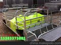优质出售母猪产床的地址及联系电话