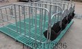 厂家福宇直销养猪复合产床