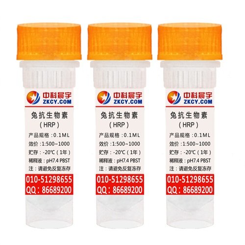 供應(yīng)廠家直銷兔抗生物素-HRP，辣根過氧化物酶HRP標(biāo)記兔抗生物素圖片