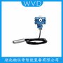 HT803投入式液位計(jì) WVD