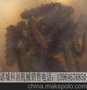 售大连海参蒸煮锅全自动搅拌炒锅