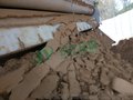 厂家玖亿环保 JY3000FT沙场污泥处理机 脱水机