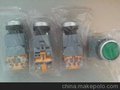 AD16-22D/G31 上海二工APT指示灯 APT湖南总代理