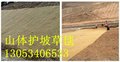 德州椰丝毯护坡施工方法