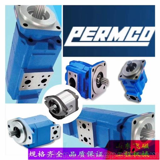 P3100B386AHTQ15-14EGTQ12 雙聯(lián)泵泊姆克齒輪油泵圖片