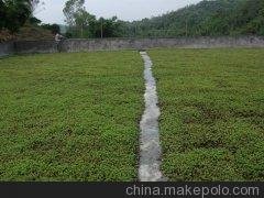 混凝土地面起皮破損修補陜西咸陽儒億混凝土道路修補劑圖片