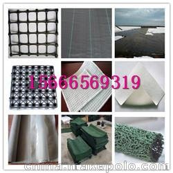 復(fù)合排水網(wǎng)圖片