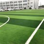 哈尔滨幼儿园学校假草皮 学校足球场草 幼儿园彩色高档草坪