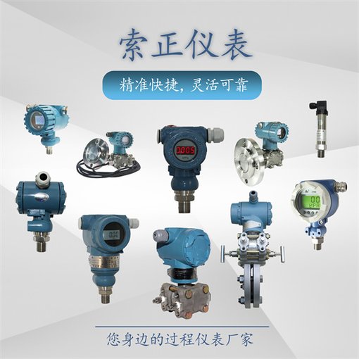 XSW-CHV1單通道熱工表實(shí)體圖片