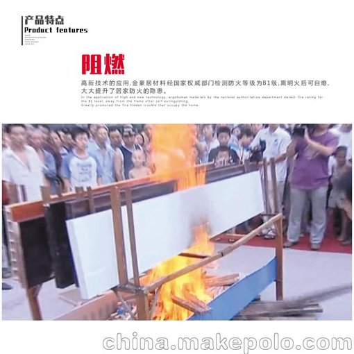 桐佳藝室內(nèi)門木塑門環(huán)保門防火阻燃 全國招商0元加盟SMX-08圖片