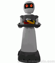 供应GY格瑶仿人体送餐机器人
