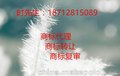 想在天津和平区开一家进出口的贸易公司，办理进出口权备案