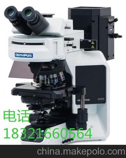 奧林巴斯CKX53顯微鏡價(jià)格圖片