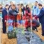 新型加厚不锈钢栽苗器  能栽三亩地蔬菜种植器