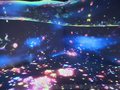 AR梦幻空间炫彩互动设备出租