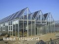 PC阳光板温室 智能温室建设 河北其实科技公司