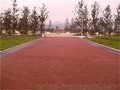 齐齐哈尔市彩色透水地坪_透水路面