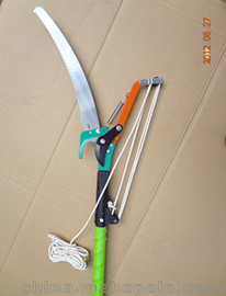 㽭a(chn)F·늚ⲿTø֦ ߉^֦䏼 