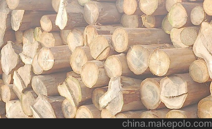 昆山木材進(jìn)口清關(guān)代理圖片