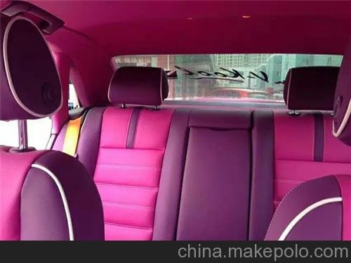 汽車真皮、興有巢汽車內(nèi)飾圖片