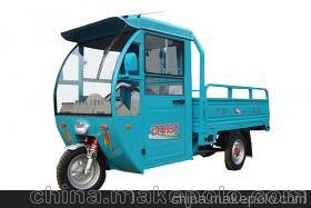 河南大陽(yáng)全封閉飛馬貨運電動(dòng)三輪車(chē)圖片