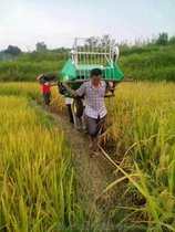 可抬式水稻、小麦联合收割机，水田、烂泥田专用小型联合收割机