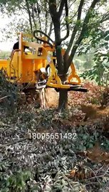 【安徽三普专业挖大树智能起树机视频】