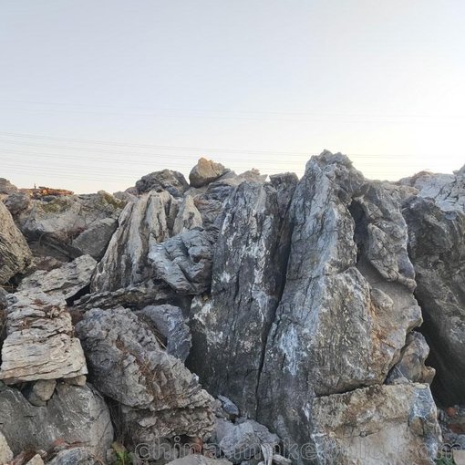供應(yīng)益陽(yáng) 園林石凳 大型風(fēng)水石 庭院別墅假山圖片