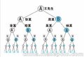 青岛一条线直销软件定制开发，国内直销系统奖金制度方案