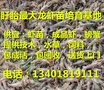 蓬莱市　小龙虾苗批发提供技术