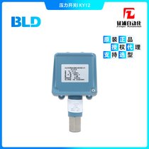 BLDRKY121.6(j)1/2NPTB316LҺ