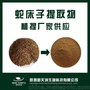 蛇床子提取物10：1 蛇床子素 植物提取物