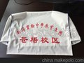 供应厂家直销北京市汽车广告头套