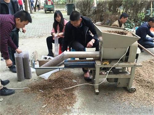 栽培食用菌培訓 歲歲豐圖片