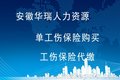 全国工伤保险代缴 单项员工工伤意外保险购买