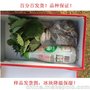 木鑫园艺场全明星草莓苗供应 大棚草莓苗品种 产量高的草莓种子
