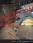 玩具总动员5上映时间 静华工艺玩具厂 大型充气类