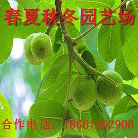 ƷNRȫ |(zh)C 缼g(sh) ɻʸ ֱN