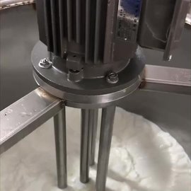 WRL型高剪切均质分散混合乳化搅拌机