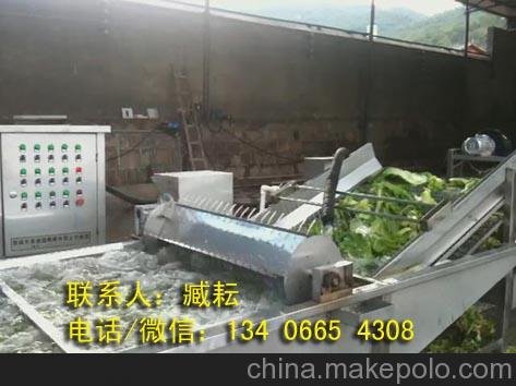 提供通用蔬菜清洗機，凈菜清洗風干流水線圖片