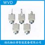 ML441-11Y-T-1801/2512-7行程限位器 WVD