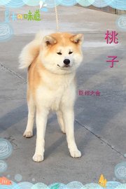 ĴȮ,Ȯ,Ȯ(ھԃ)